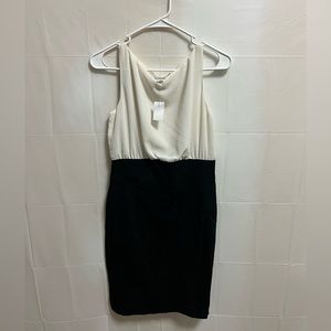 NWT Ann Taylor Loft Dress. Size 2. Black and White.